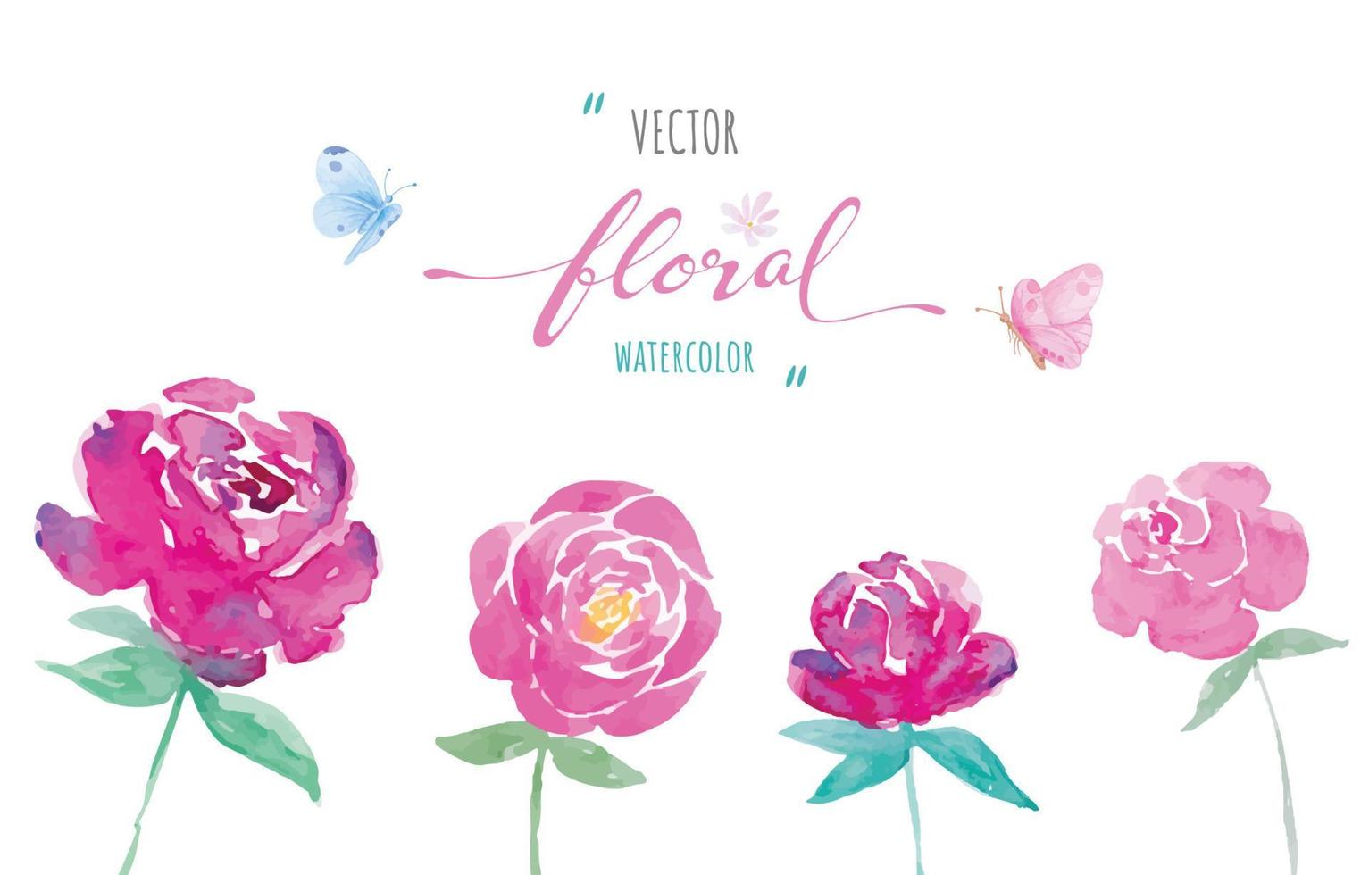 ilustração pintada à mão em aquarela linda flor rosa folha botânica e borboleta para amor casamento dia dos namorados ou arranjo convite design cartão de saudação vetor