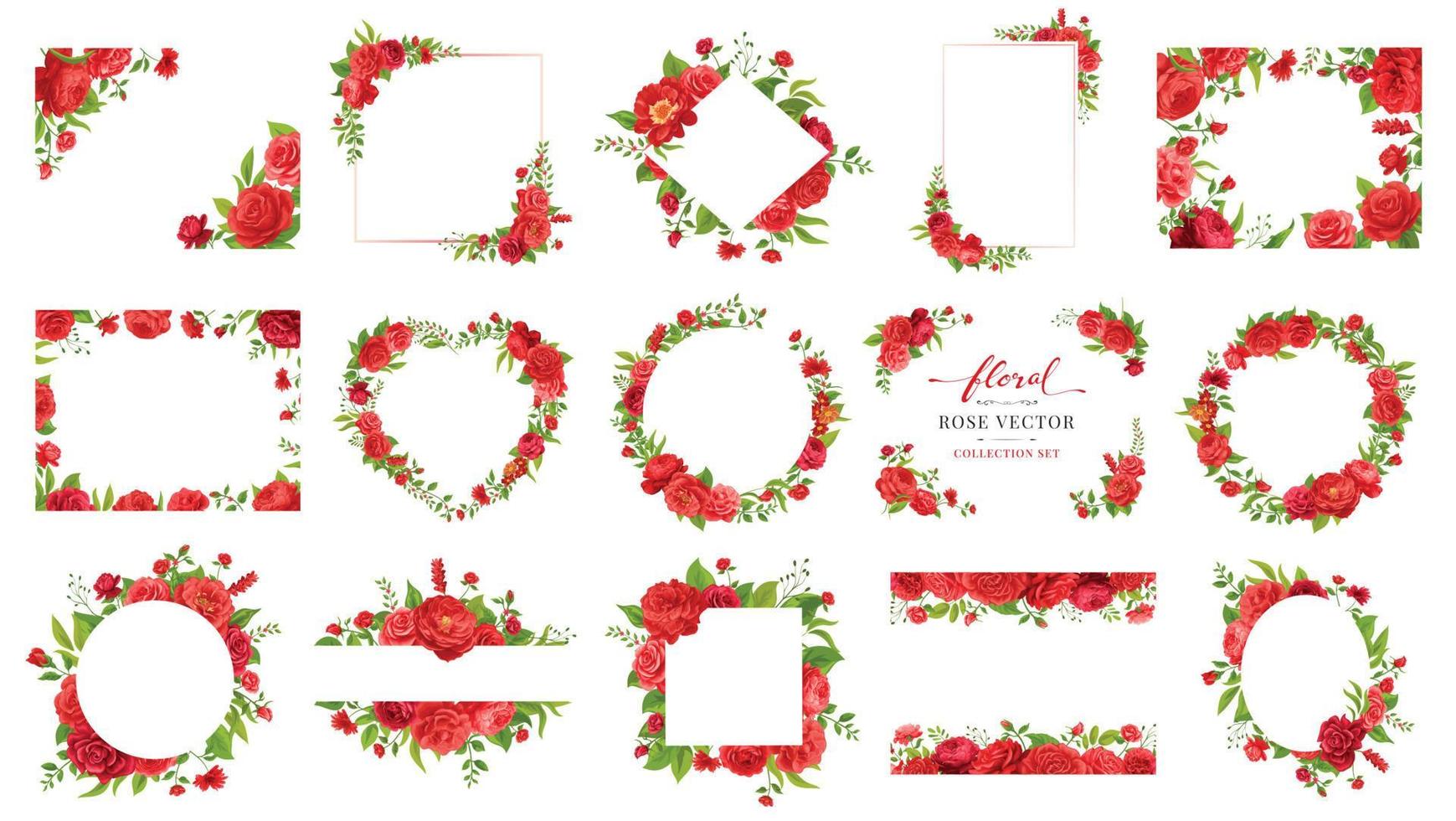 conjunto de coleção linda flor rosa e folha botânica ilustração digital pintada para amor casamento dia dos namorados ou arranjo convite design cartão de saudação vetor