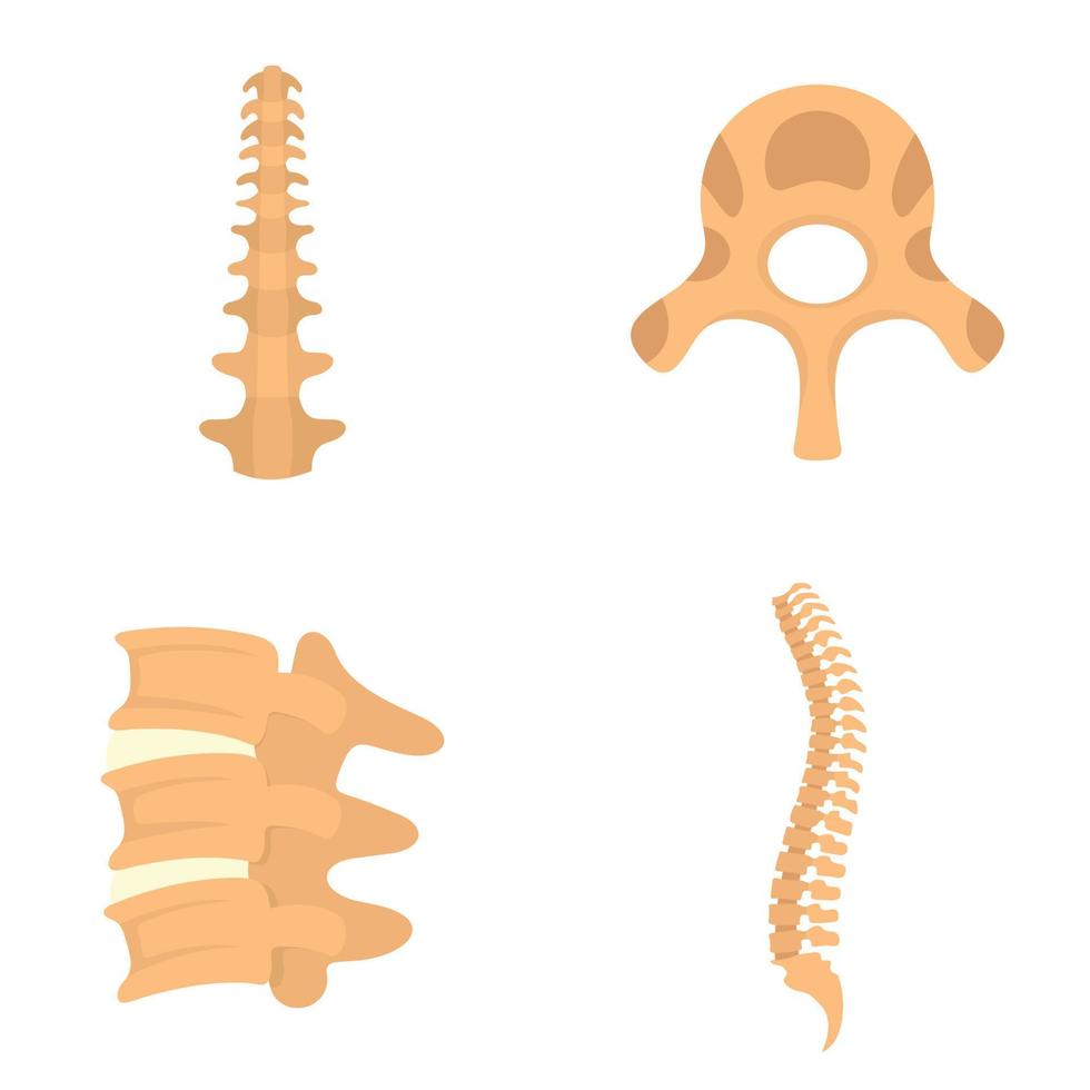 conjunto de ícones de vértebra ortopédica da coluna, estilo simples vetor