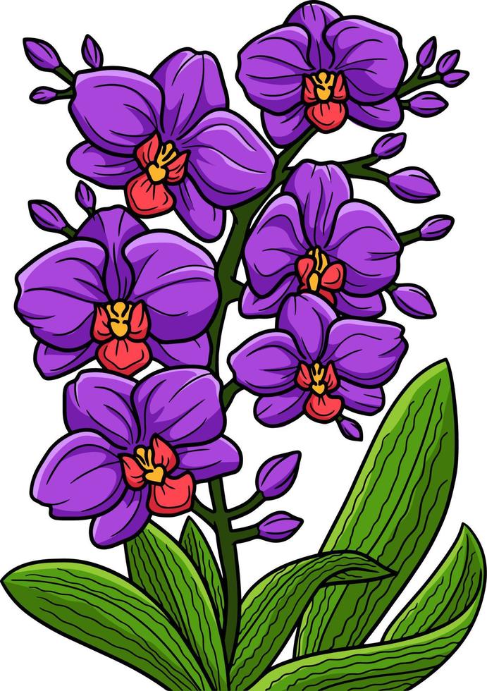 ilustração de clipart colorida de desenho de flor de orquídea vetor