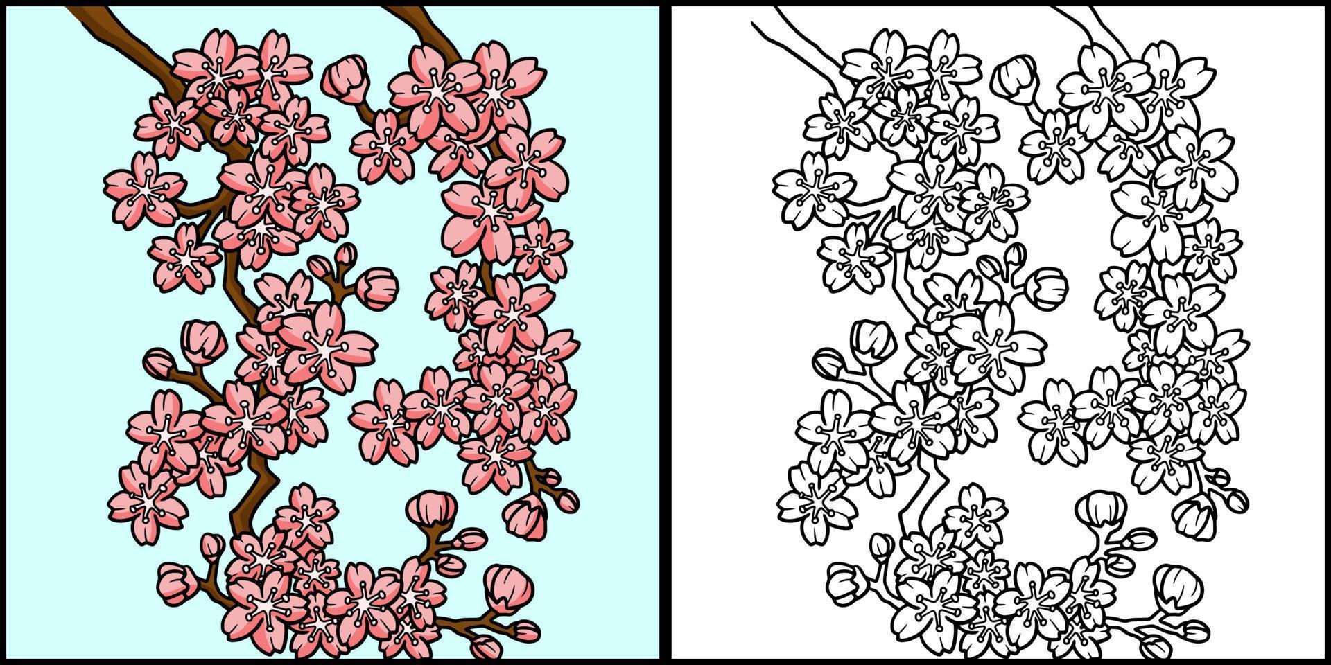 flor de cerejeira para colorir ilustração colorida vetor