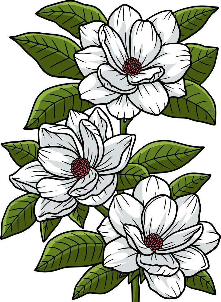 clipart colorido de desenho de flor de magnólia vetor