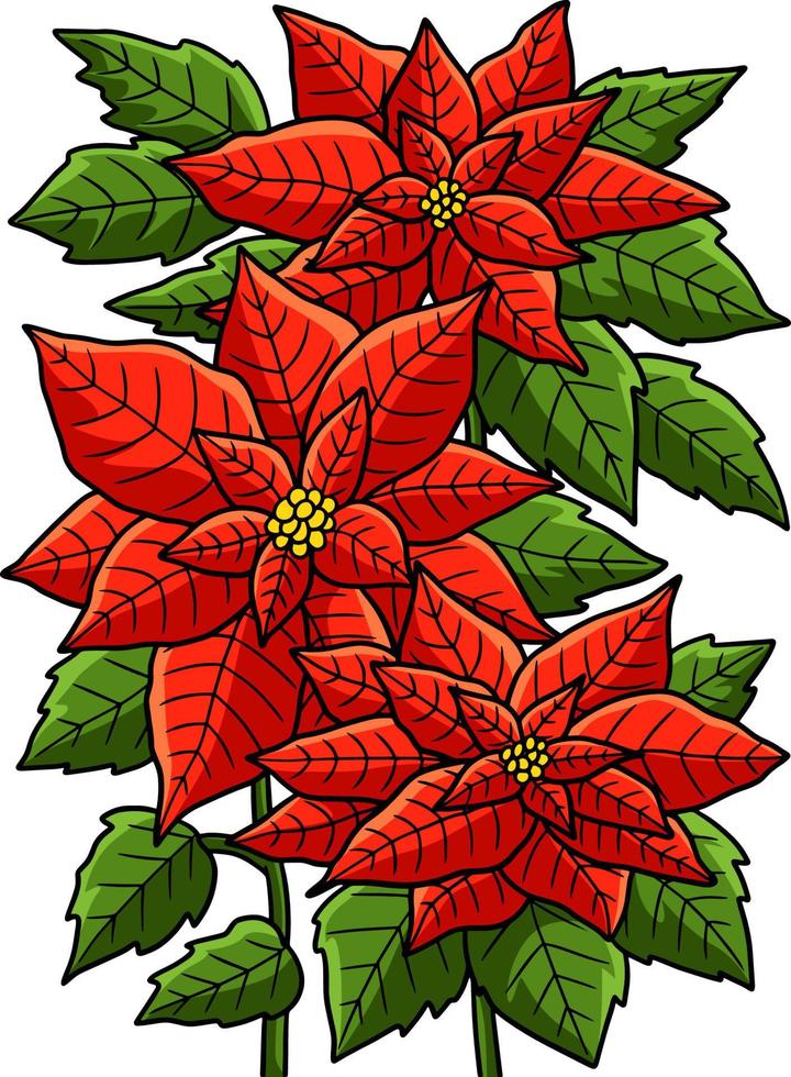 clipart colorido de desenho de flor de poinsétia vetor