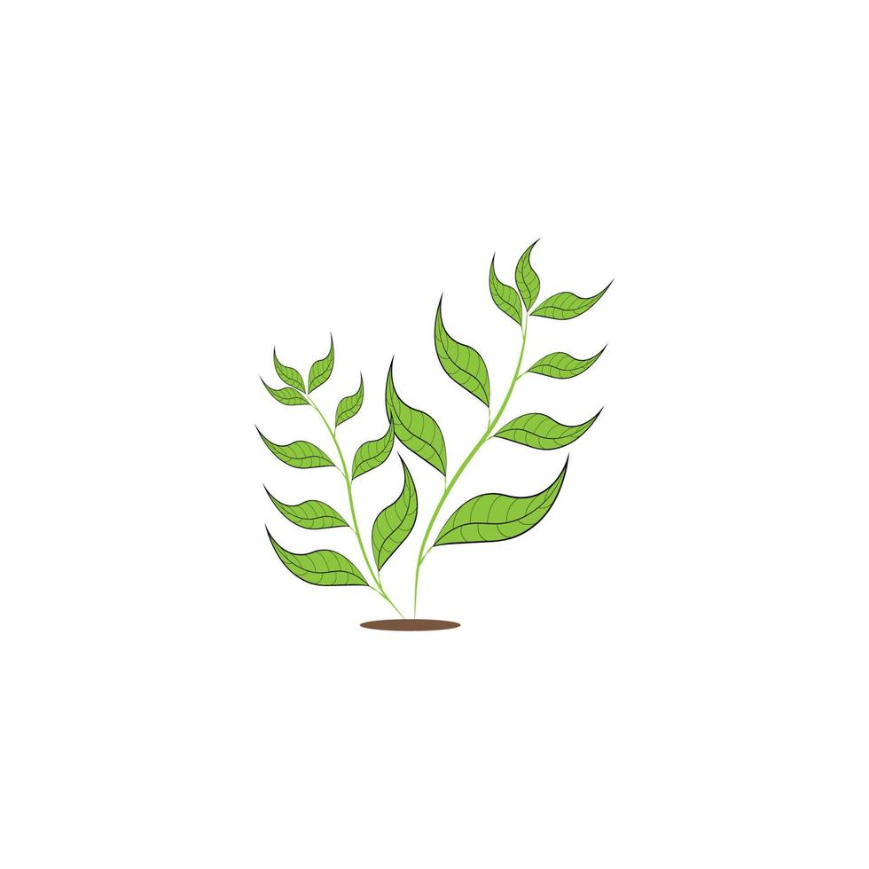 ilustração de design de ícone de elemento de planta ornamental vetor