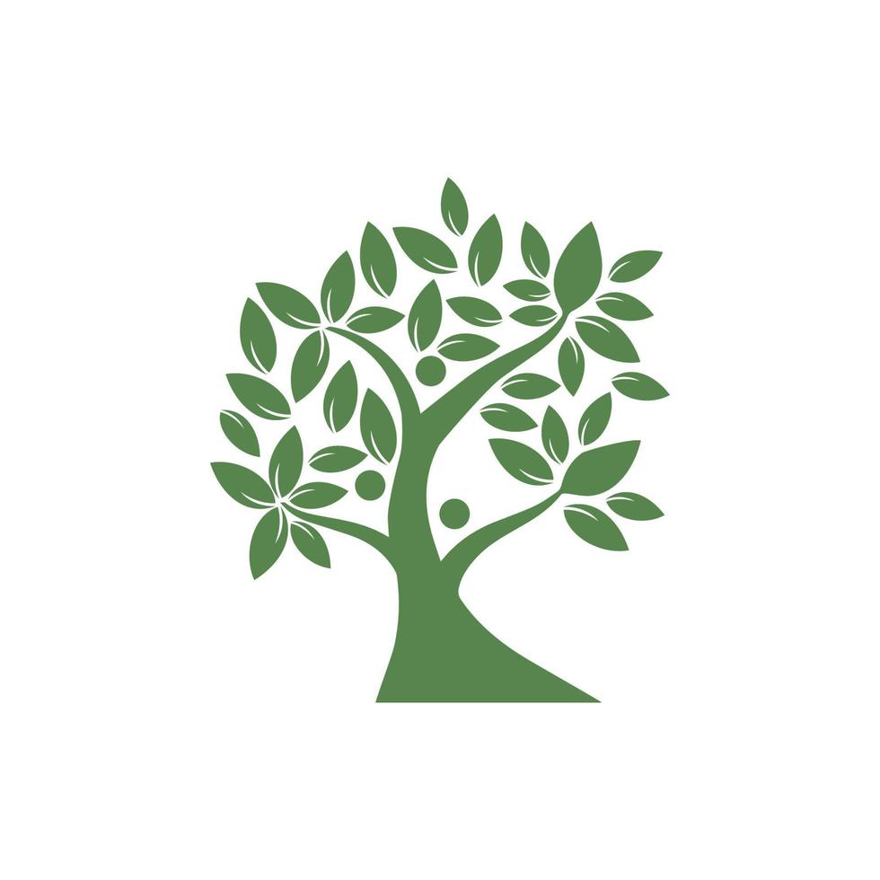 vetor de árvore, desenhado à mão, ilustração do modelo de design de vetor de oliveira
