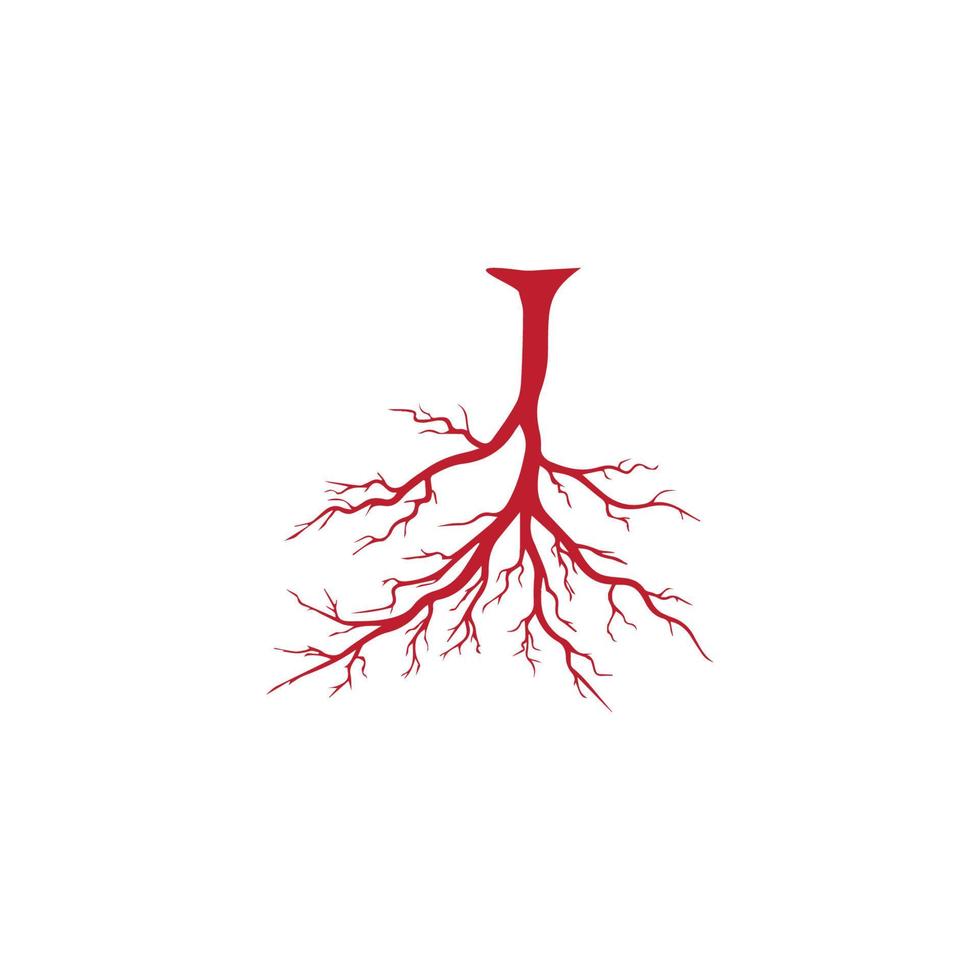 veias humanas, design de vasos sanguíneos vermelhos e ilustração vetorial de artérias isoladas vetor
