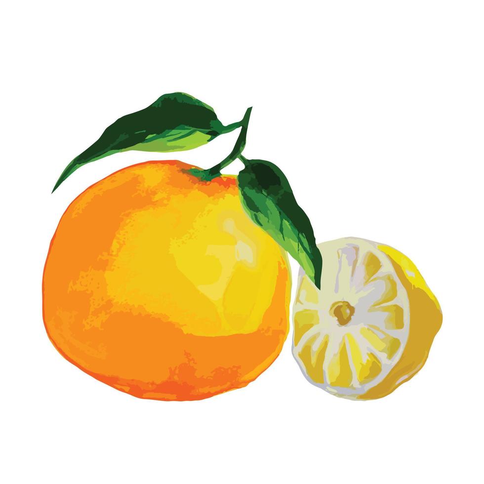tangerina madura com folhas e meio limão ilustração vetorial vetor