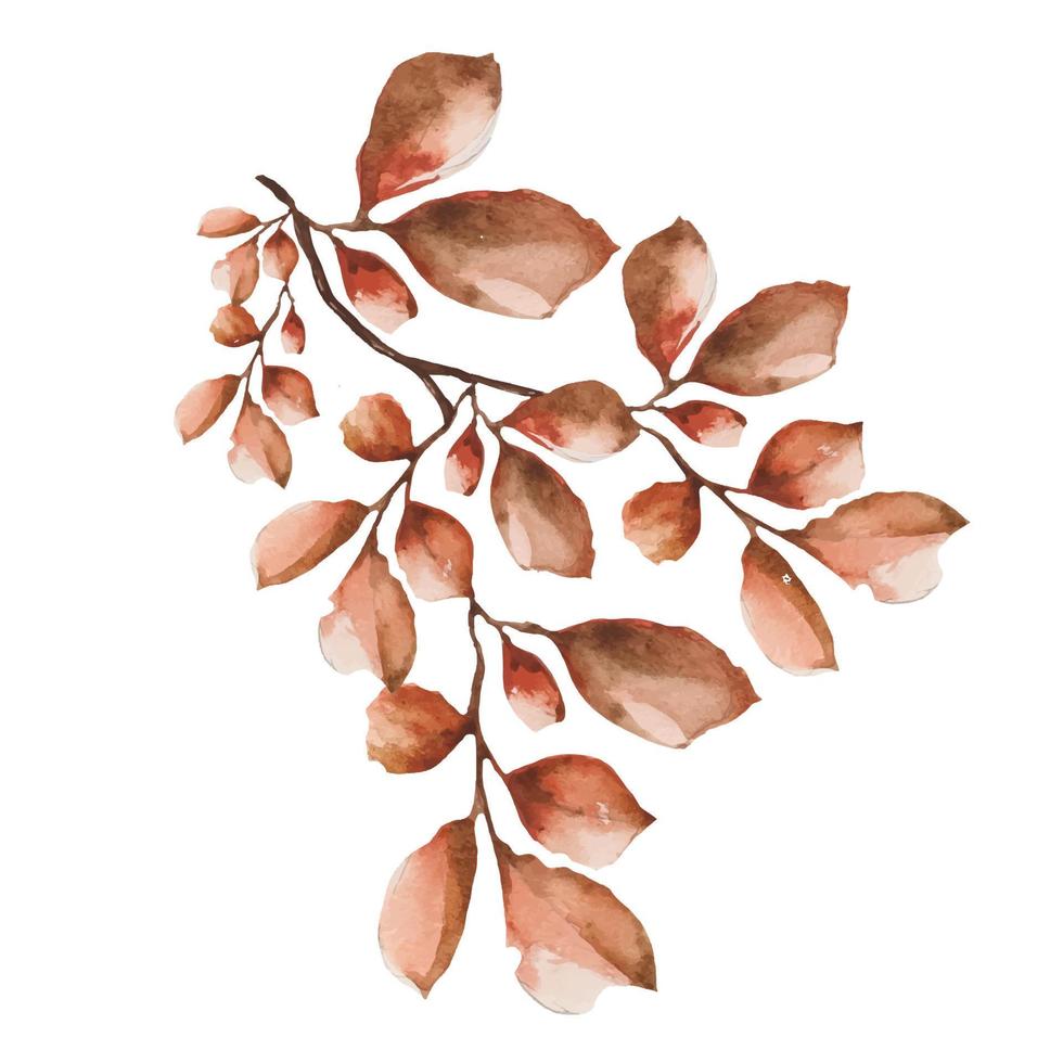 folhas secas em uma aquarela de galho em uma ilustração vetor