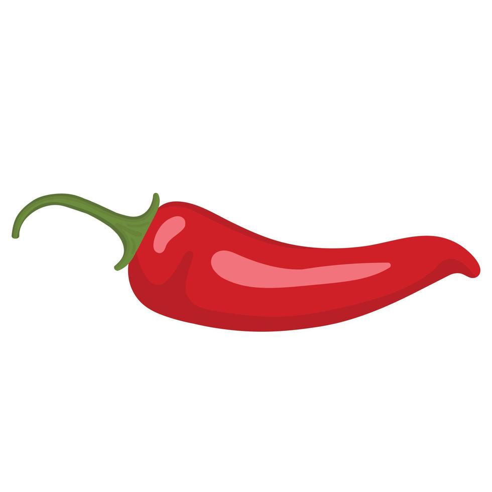 pimentão vermelho. imagem vetorial de uma pimenta. pimenta quente. vetor