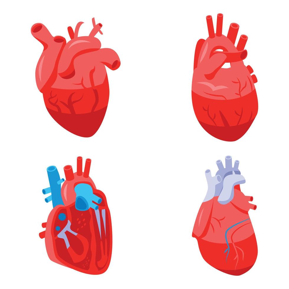 conjunto de ícones do coração humano, estilo isométrico vetor
