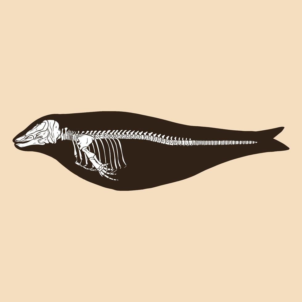 ilustração em vetor feminino narval esqueleto