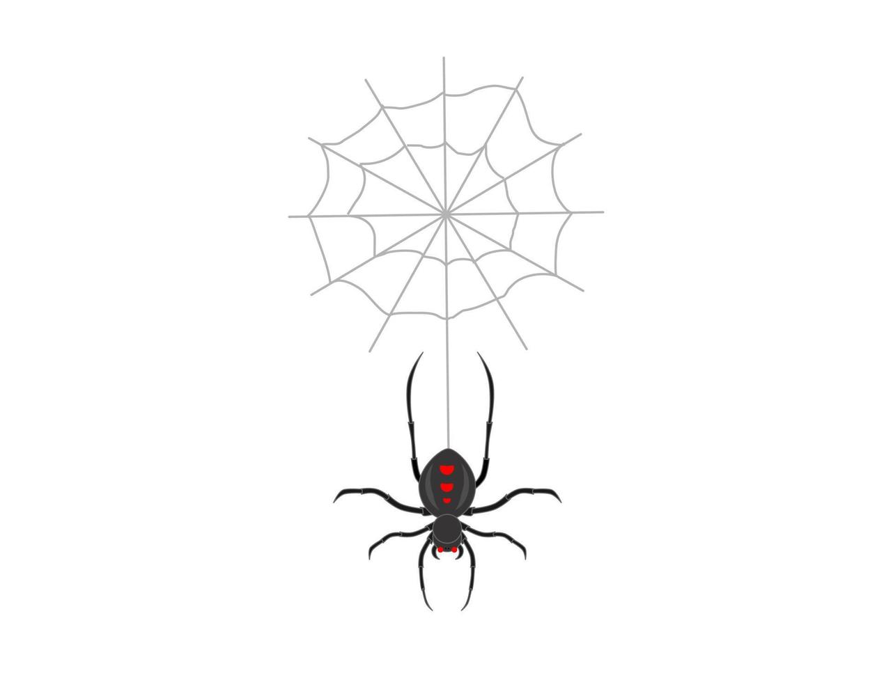 desenho vetorial de aranha assustadora vetor