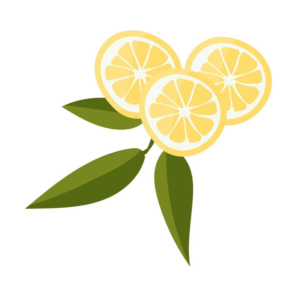 limão com folhas minimalismo. fruta de limão fresco azedo. vetor