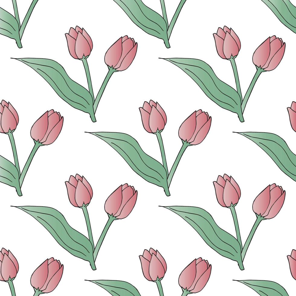 plano de fundo sem emenda com tulipas cor de rosa gradiente sobre fundo branco. fundo floral sem fim para seu projeto. vetor