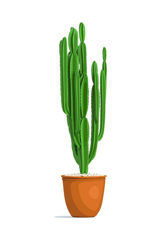 cacto brilhante em uma vista frontal do pote. plantas decorativas em casa isoladas em branco. ilustração vetorial vetor