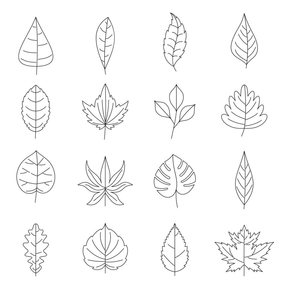 conjunto de ícones de folhas de plantas, estilo de contorno vetor