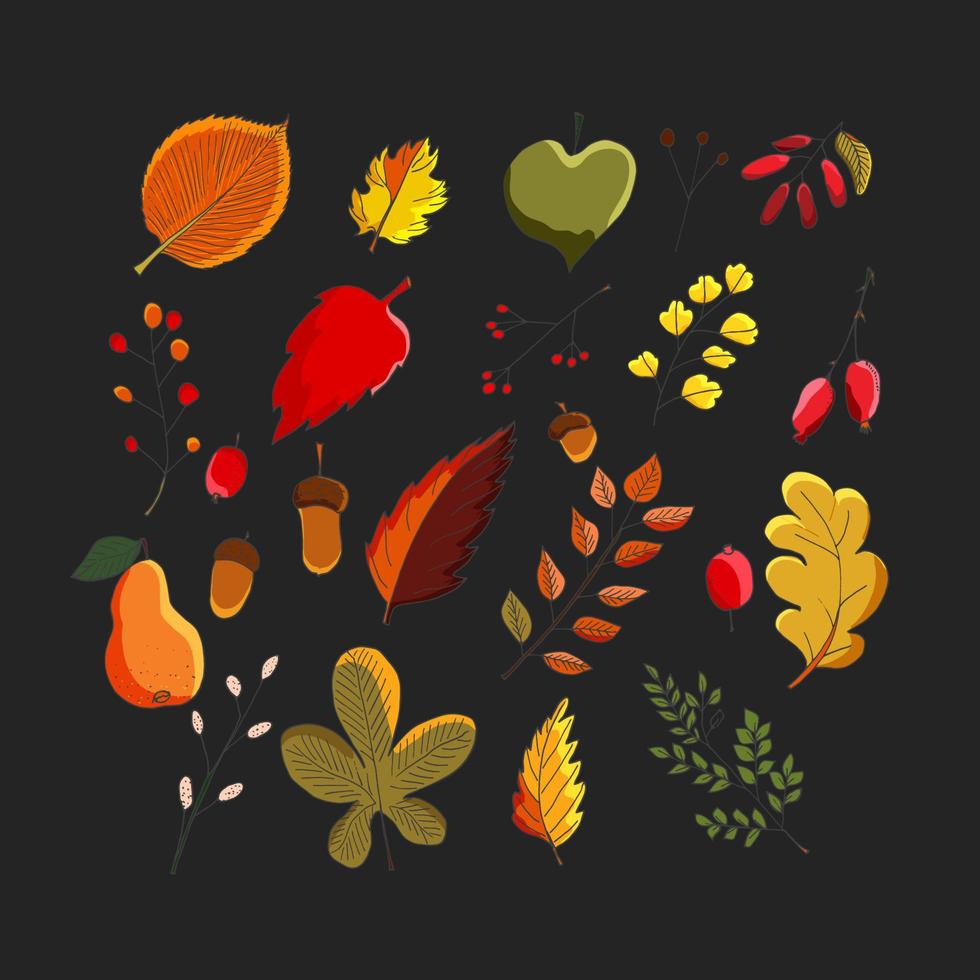 conjunto de vetor colorido de folhas de outono. bordos, carvalhos, castanheiros e folhas de olmos, frutos vermelhos e bolotas. ilustração desenhada à mão.