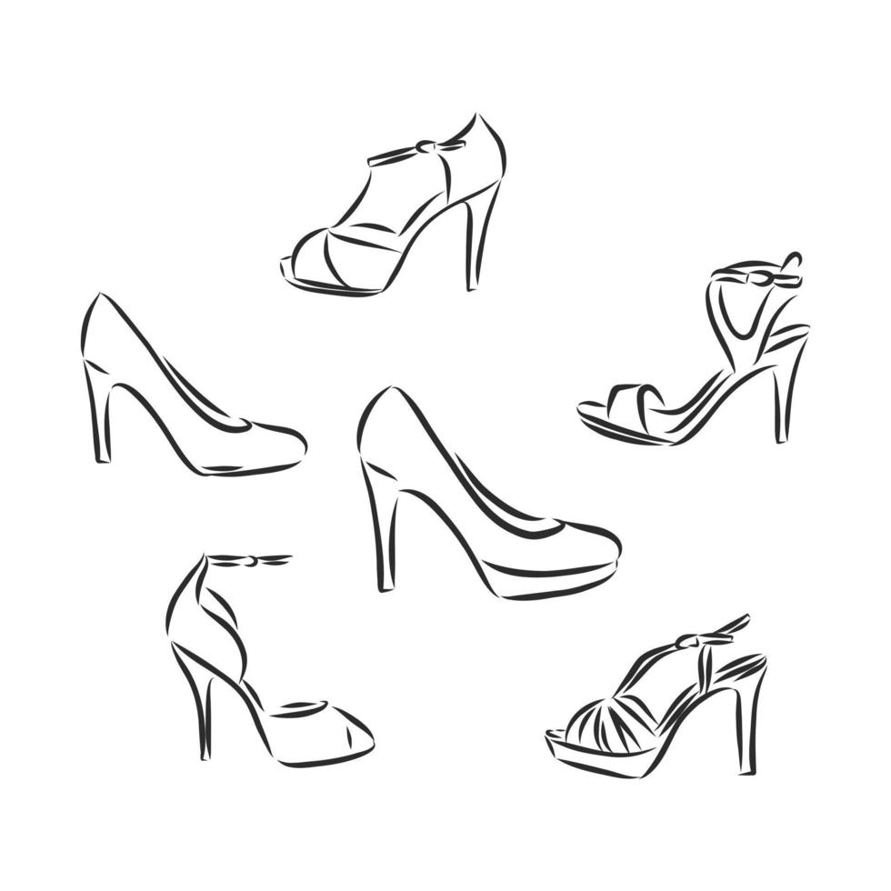 desenho vetorial de sapato feminino vetor