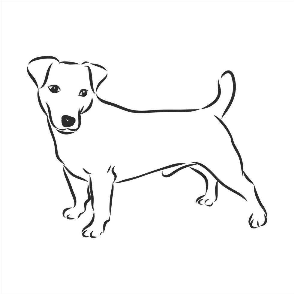 desenho vetorial de cachorro vetor