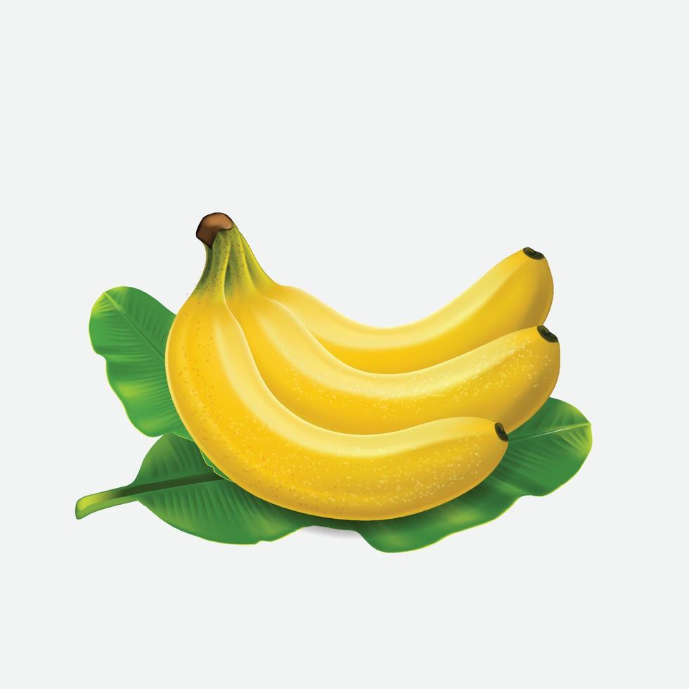 frutas de banana. sobremesas exóticas plantas tropicais naturais vetor comida saudável bananas