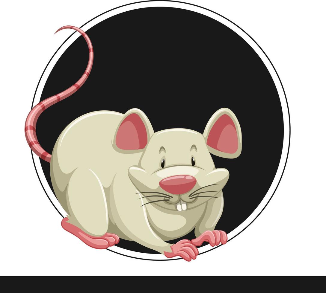 desenho de vetor de animais de rato