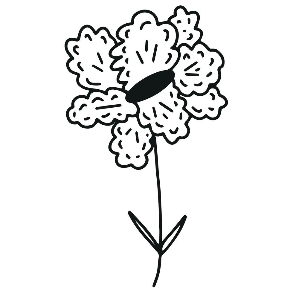 doodle flor desenhada à mão vetor