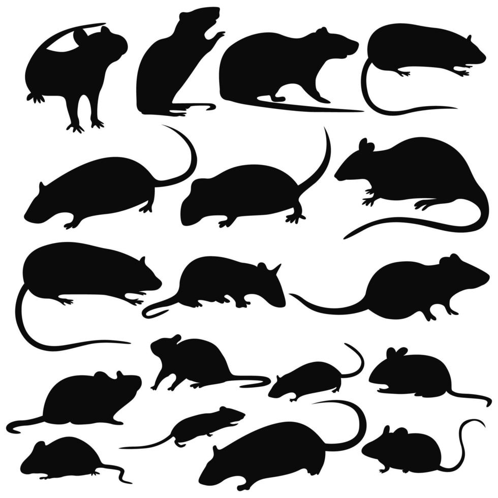 coleção de silhueta de rato vetor