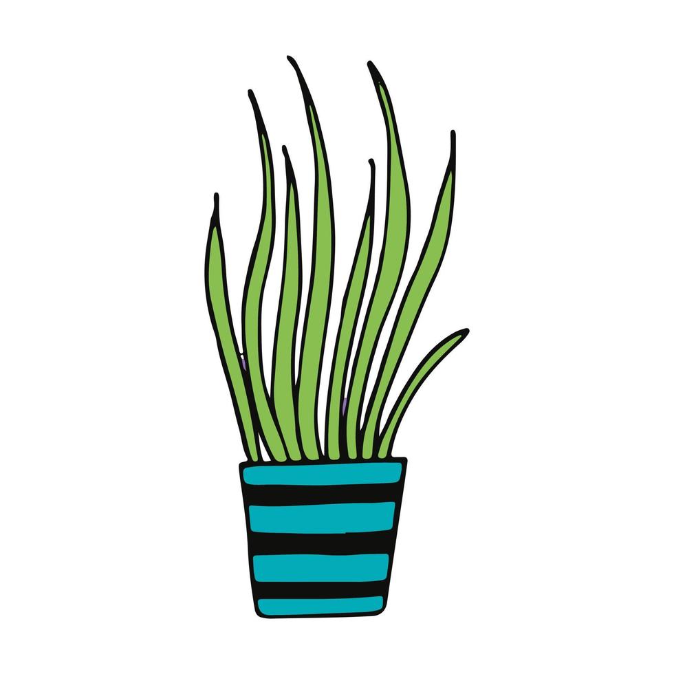 chlorophytum em um ícone de pote desenhado à mão. , minimalismo, escandinavo, doodle, flor de planta de adesivo de desenho animado vetor