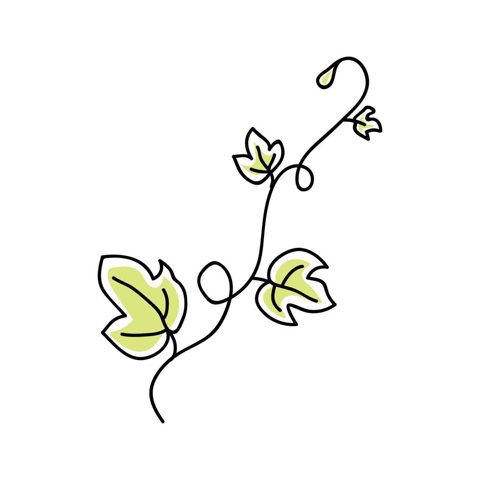 folhas de abóbora em estilo doodle vetor