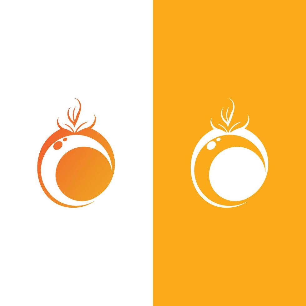 design de logotipo laranja vetor