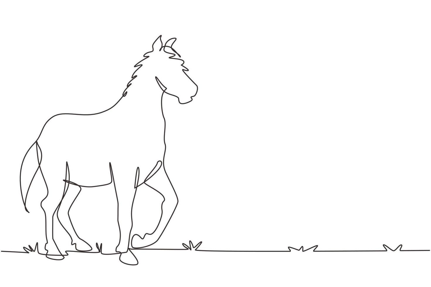 único desenho de uma linha executando o esboço do cavalo do garanhão árabe.  cavalo de raça pura galopando da raça árabe. símbolo de corrida de cavalos,  distintivo de esporte equestre. vetor gráfico