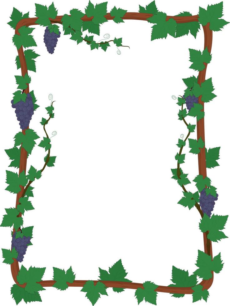 quadro vertical de videira com folhas e ilustração vetorial de cachos de uva vetor