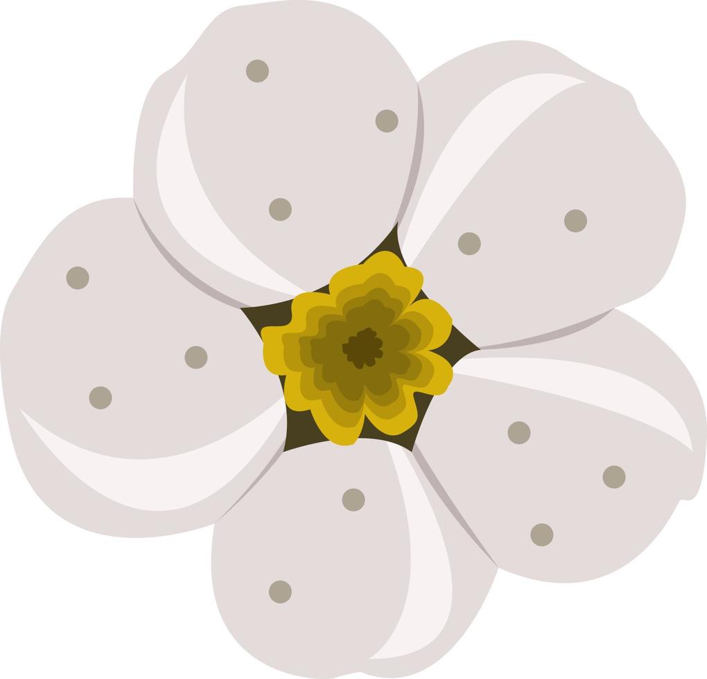 ilustração vetorial de flor de espinheiro para design gráfico e elemento decorativo vetor