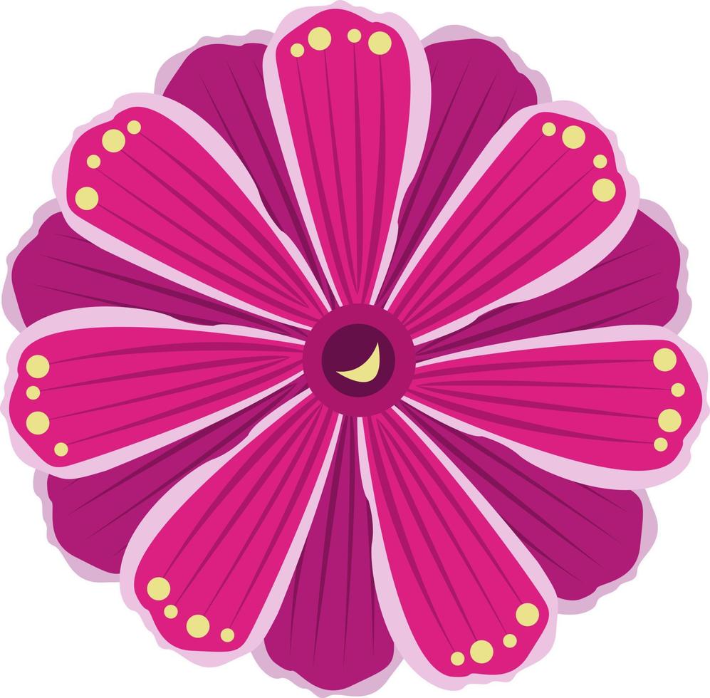 ilustração vetorial de flor lewesia para design gráfico e elemento decorativo vetor