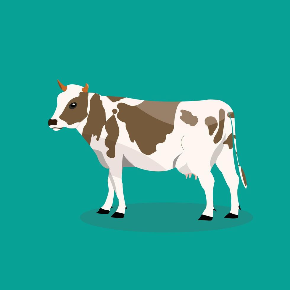 ilustração vetorial de vaca, ilustração de vaca de cor preto e branco, animal selvagem. vetor