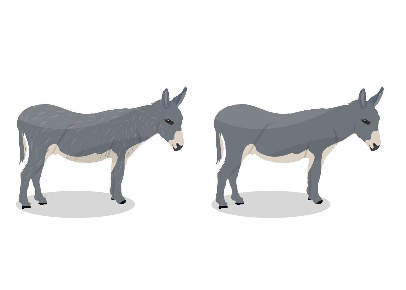 ilustração em vetor burro dos desenhos animados sobre fundo branco, animal selvagem.