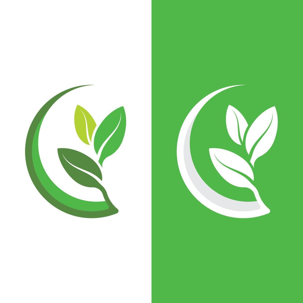 logotipos da ecologia de folhas verdes vetor