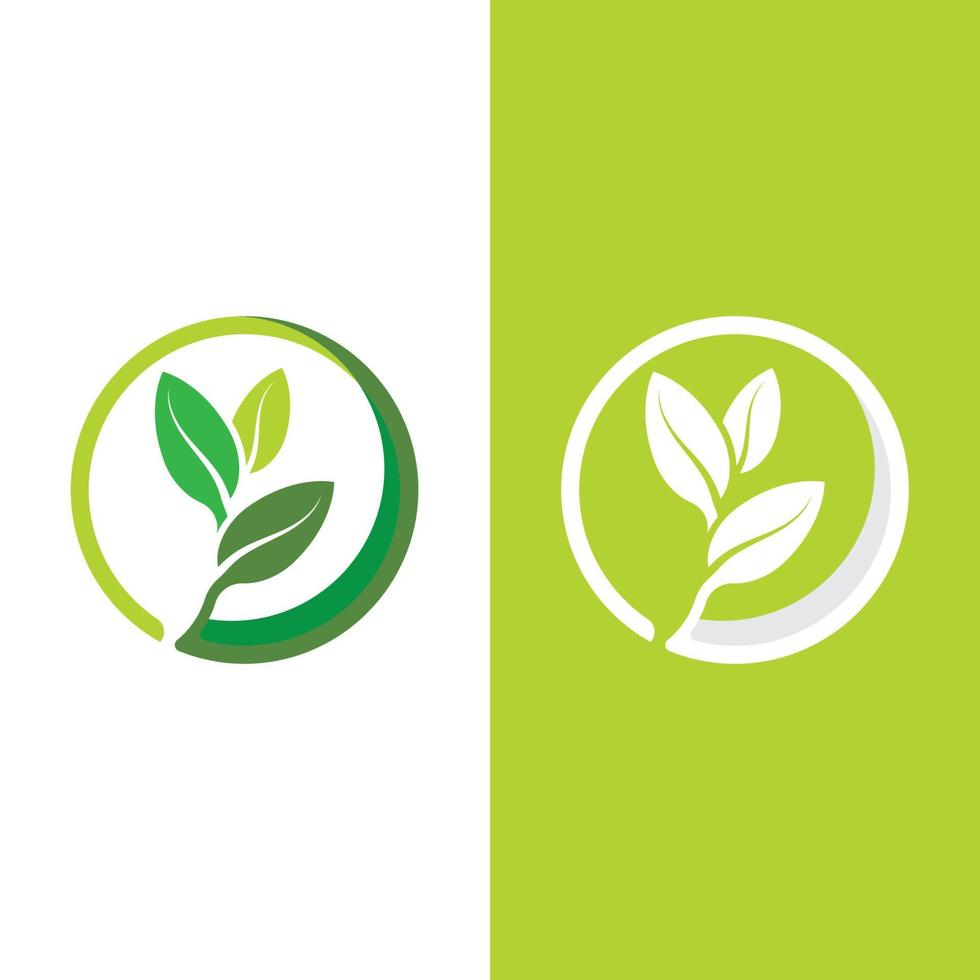 logotipos da ecologia de folhas verdes vetor