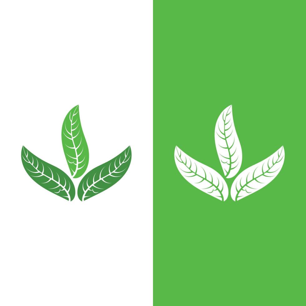 logotipos da ecologia de folhas verdes vetor