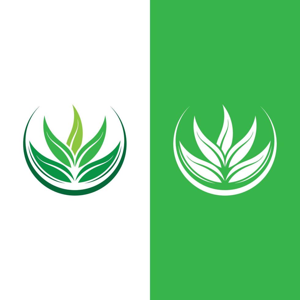 logotipos da ecologia de folhas verdes vetor