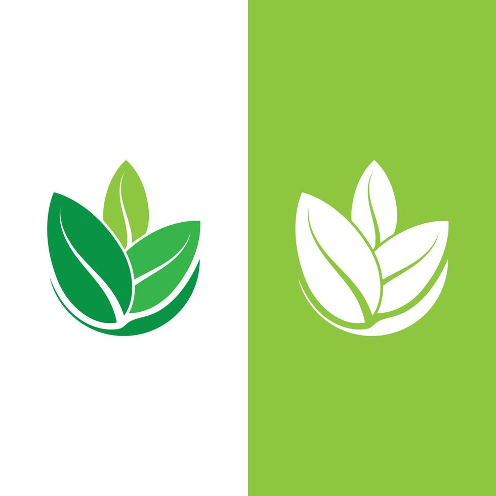 logotipos da ecologia de folhas verdes vetor