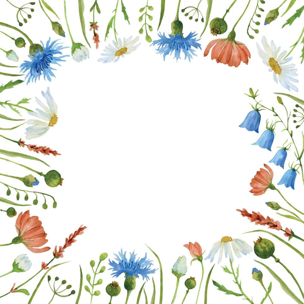 moldura de flor quadrada com plantas de campo selvagem e folhas verdes. aquarela pintada à mão fundo floral vetorial para cartões de saudação ou convite. fronteira botânica vetor