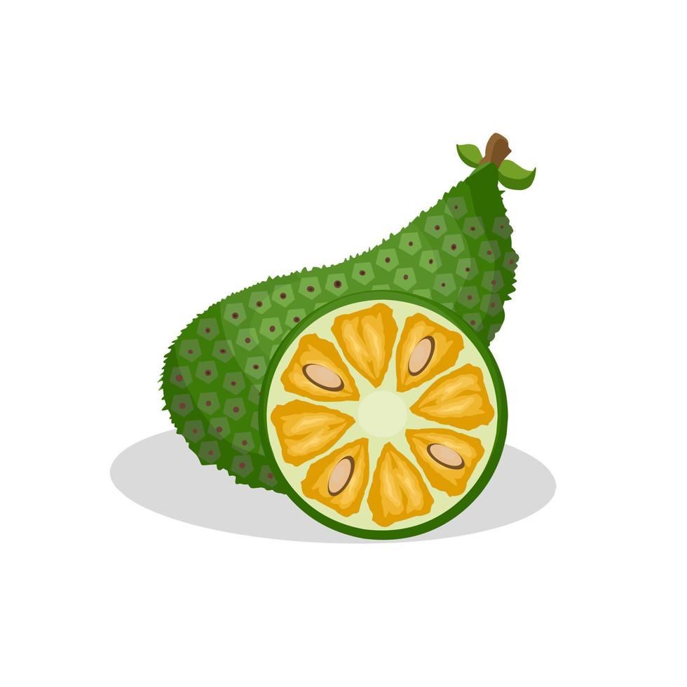 ilustração de uma fruta jaca. ícone de fruta jaca, fruta vetor