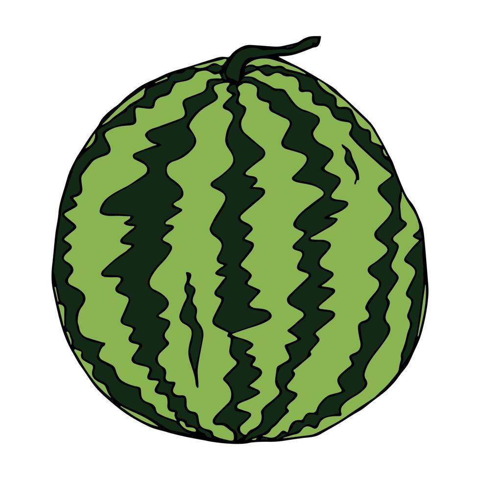 clipart de melancia de vetor bonito. ícone de melancia desenhado à mão. ilustração de frutas.