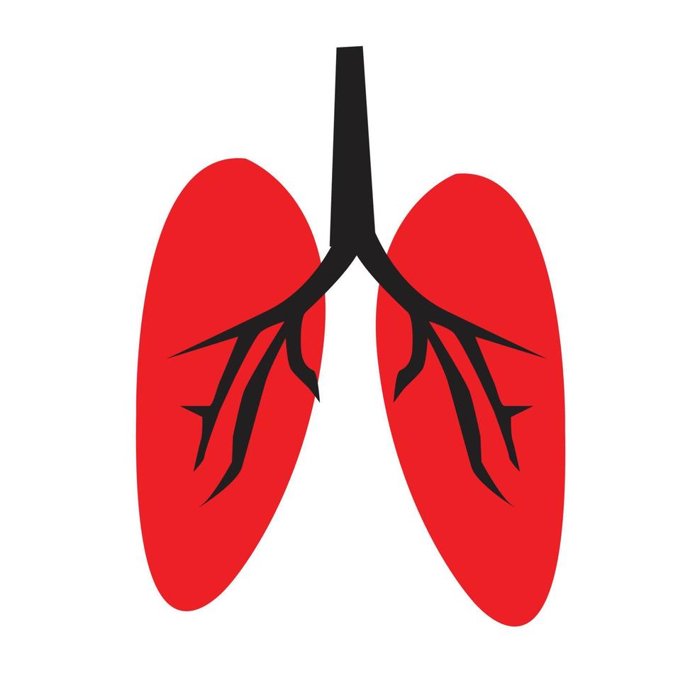 design de vetor de ícone de anatomia humana de estocada