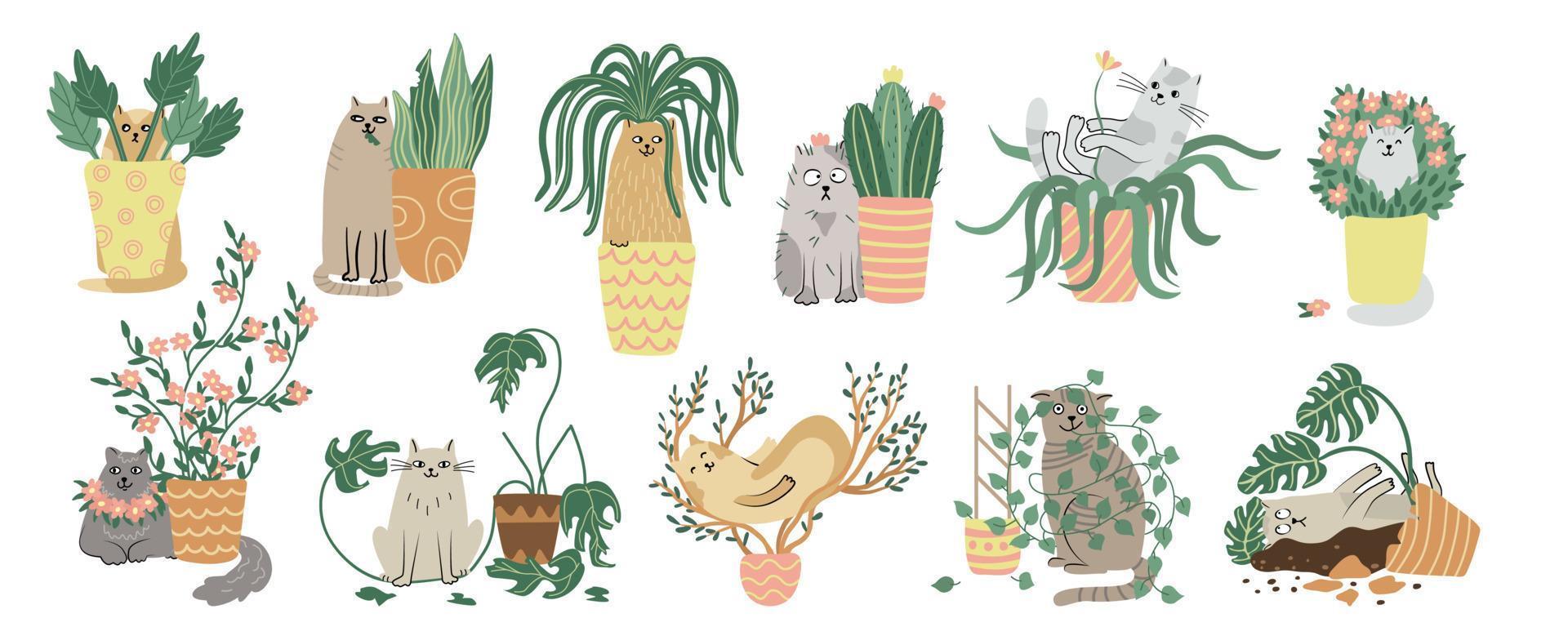 conjunto de gatos e plantas de casa. mão desenhada ilustração vetorial plana isolada no branco. personagens animais engraçados e plantas da casa. vasos de plantas e animais de estimação vetor