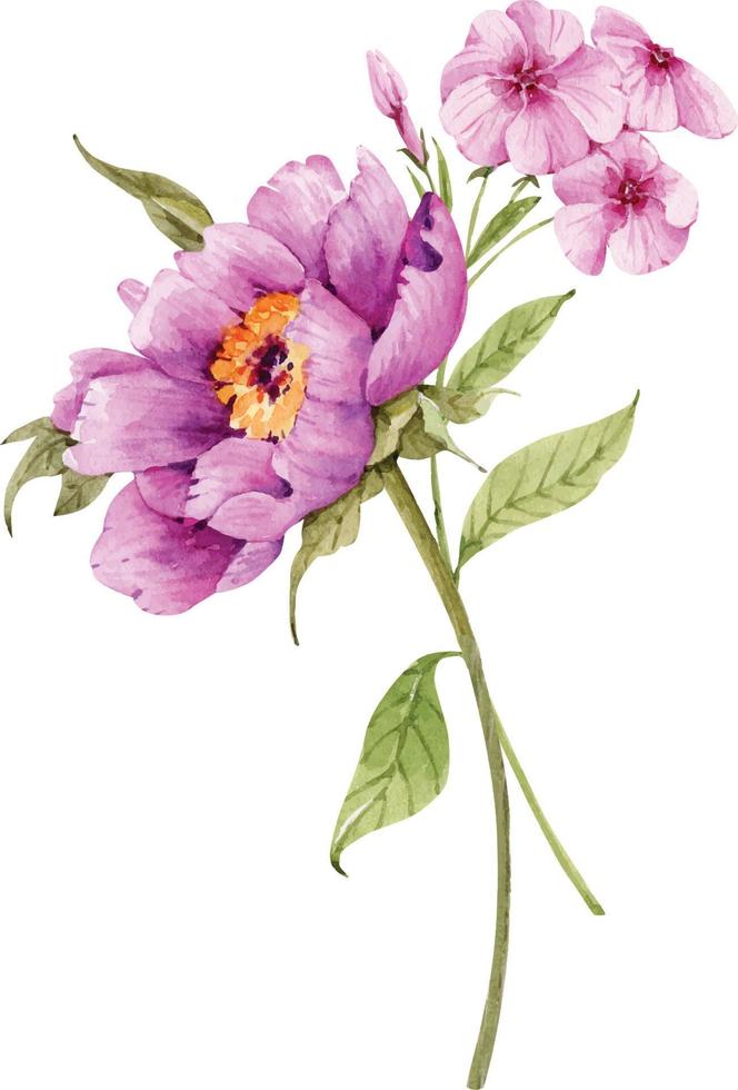 buquê de flores rosa peônias watercolor.illustrations em um fundo branco. vetor