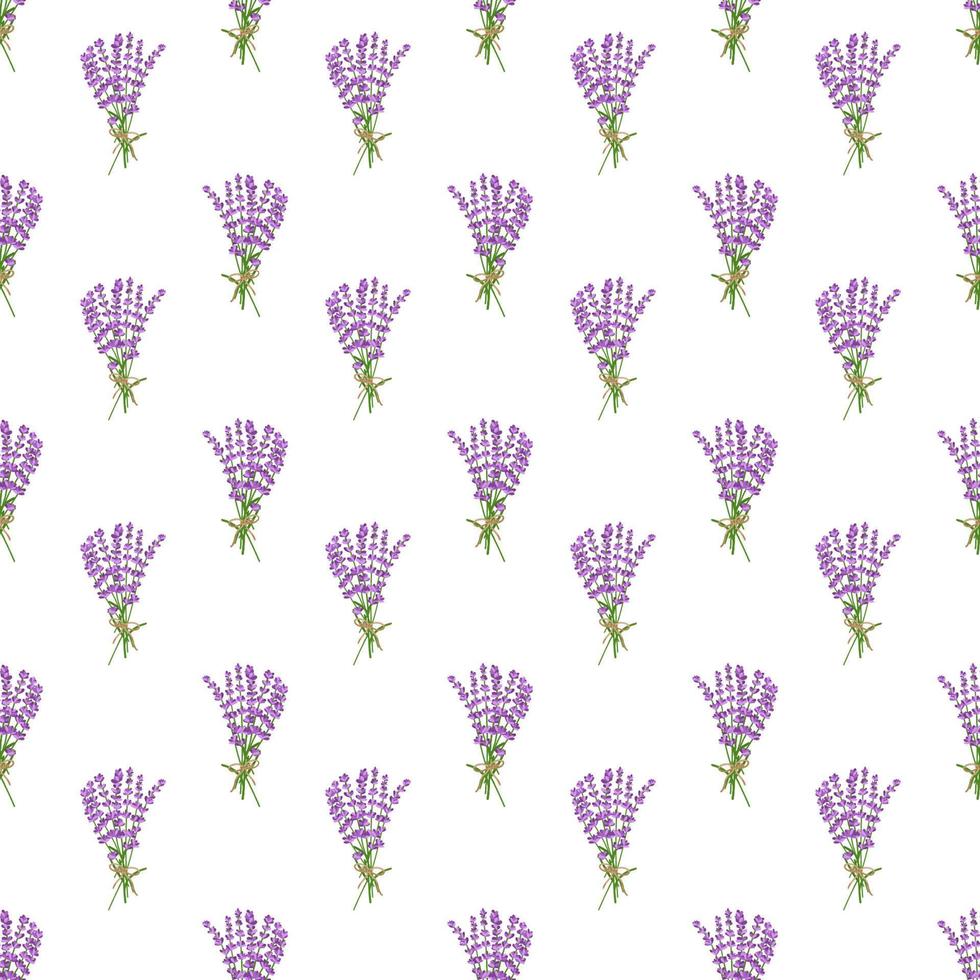 padrão sem costura padrão de flores de lavanda em fundo branco. vetor