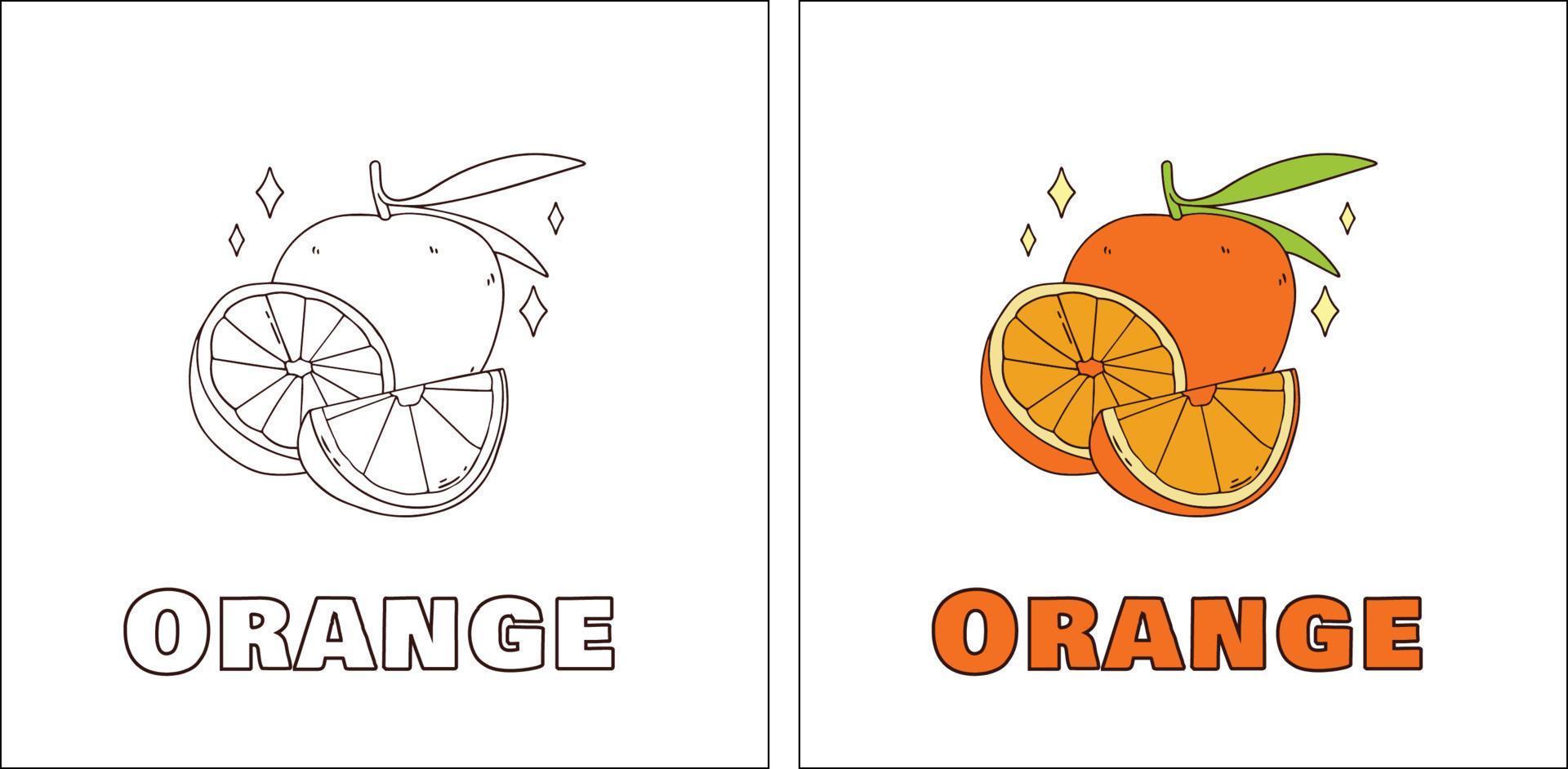 a para desenho de laranja desenhado à mão para colorir vetor