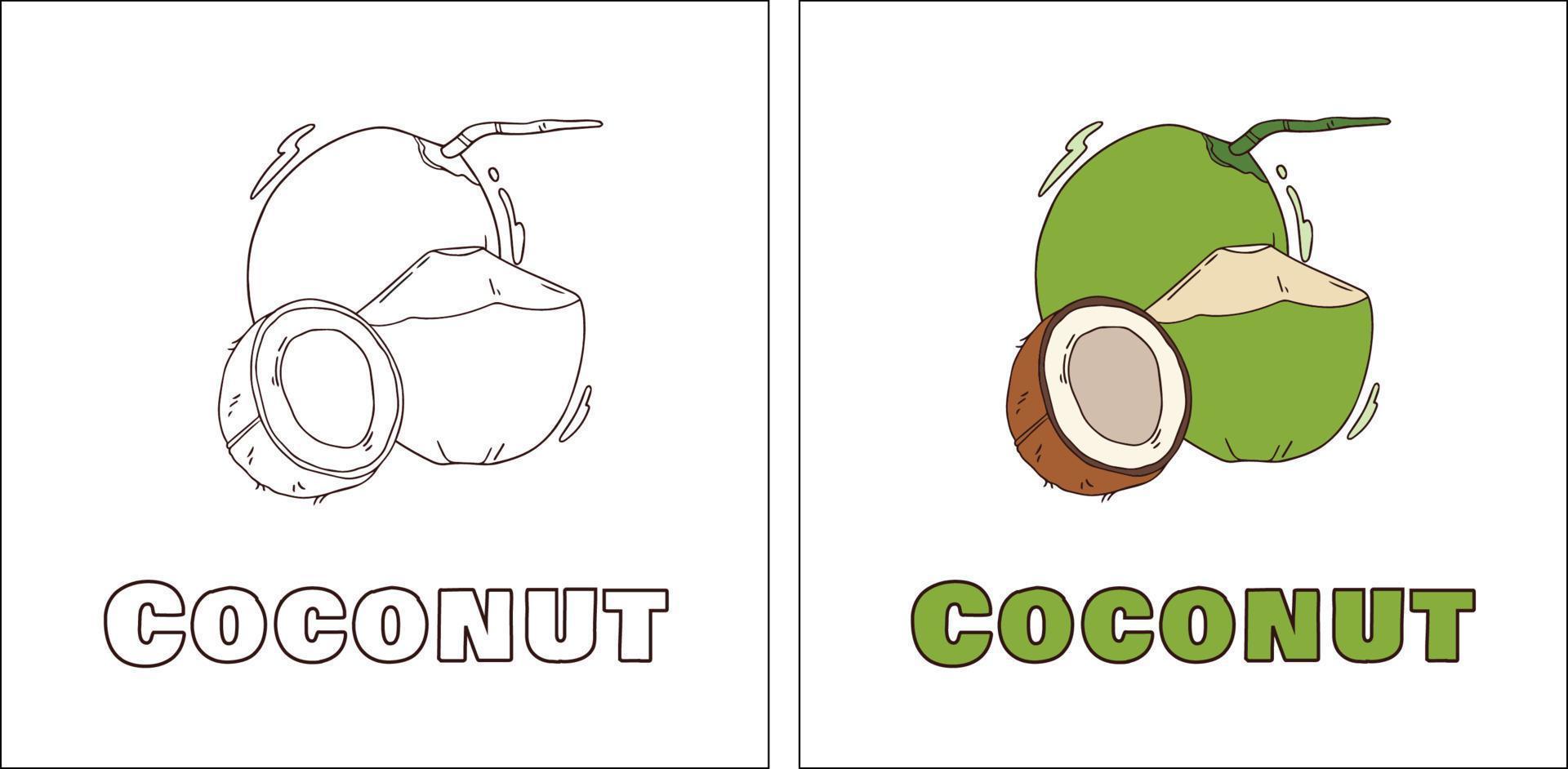 a para página de colorir desenhada à mão de coco vetor